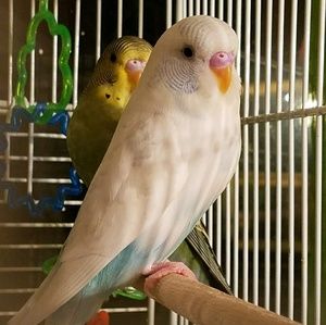 Meet your Posher, Noelia